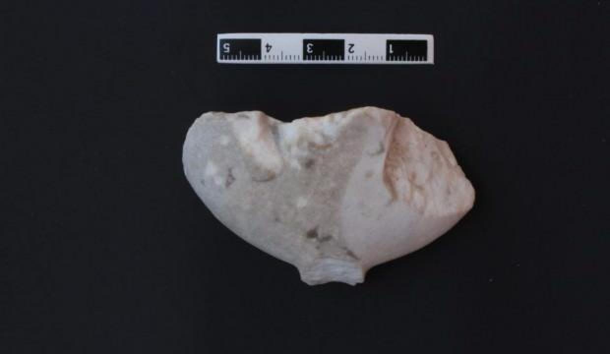 Bilecik’teki Gedikkaya Mağarası’ndan çıkan bulgular Göbeklitepe’den daha eski