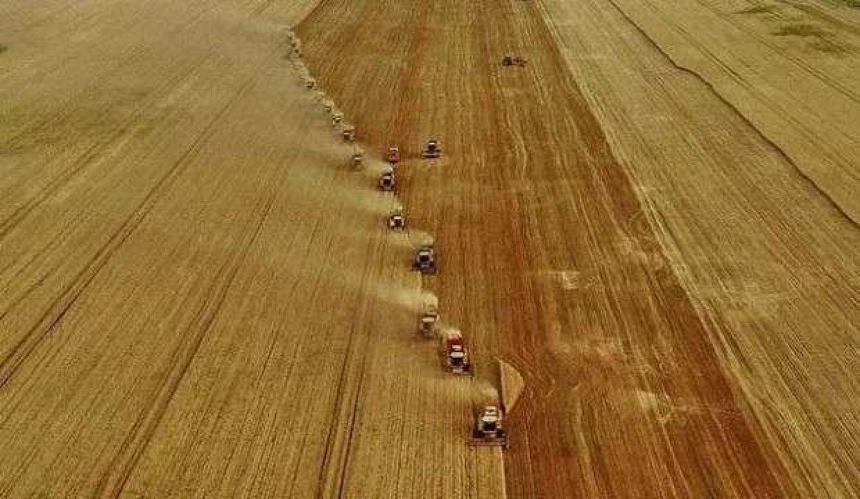 Birleşmiş Milletler’den Türk tarımına dayanak projesi