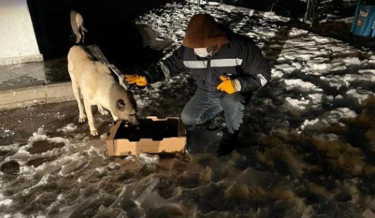 Diyarbakır’da 941 kırsal mahalle yolu, ulaşıma açıldı