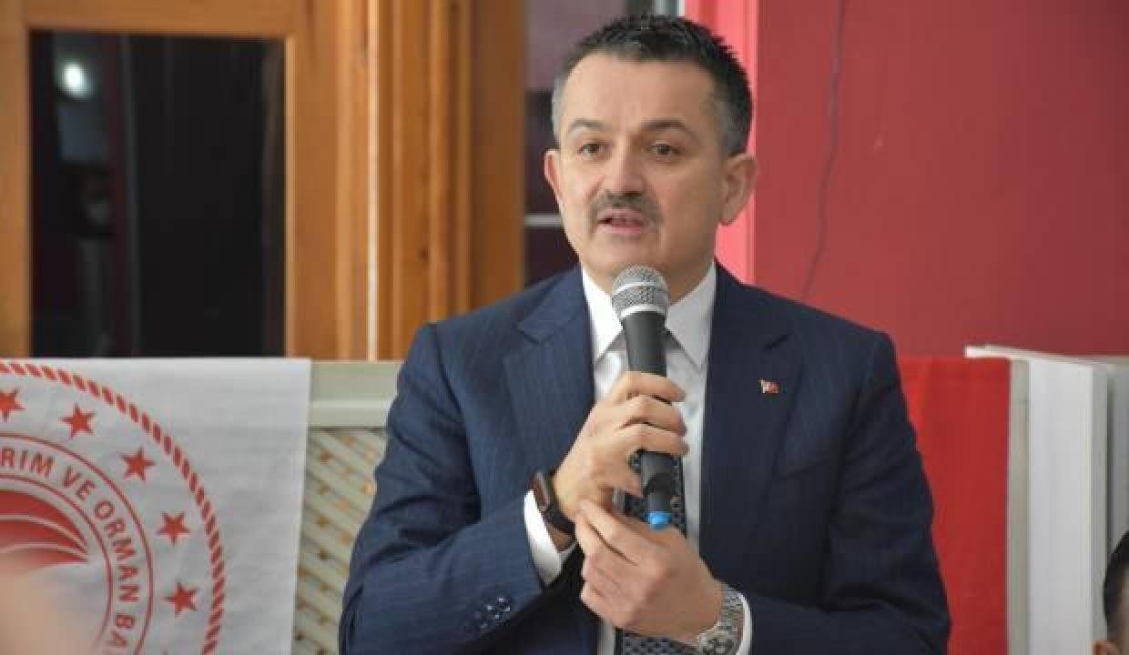 Hem teşebbüsçüler hem de gençler için hibe takviyesi geliyor