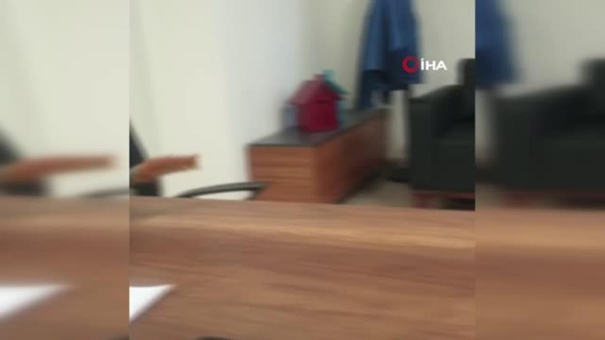 İdare ofisine giren sincap kamerada