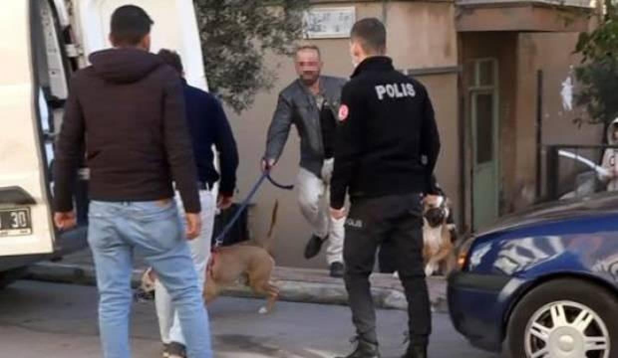 İki Pitbull bayana saldırdı! Dehşet dolu anları anlattı