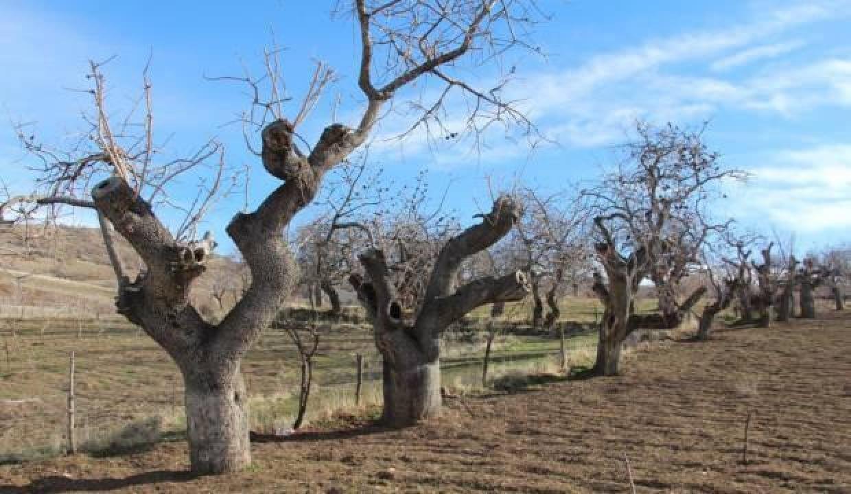 İngiltere’de enflasyon 30 yılın doruğunda