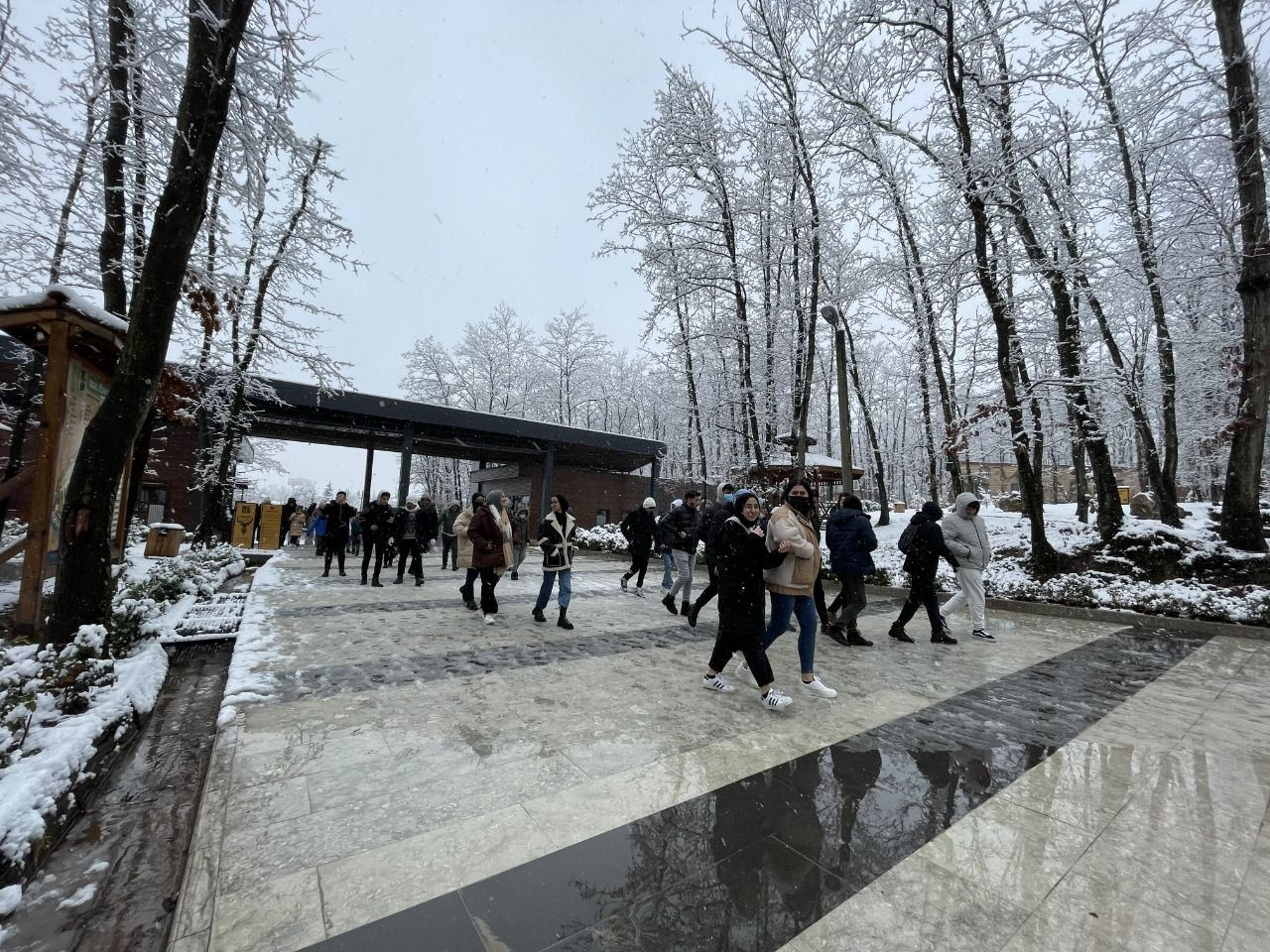 Ormanya ziyaretçilerini karla kaplı güzelliğiyle karşılıyor