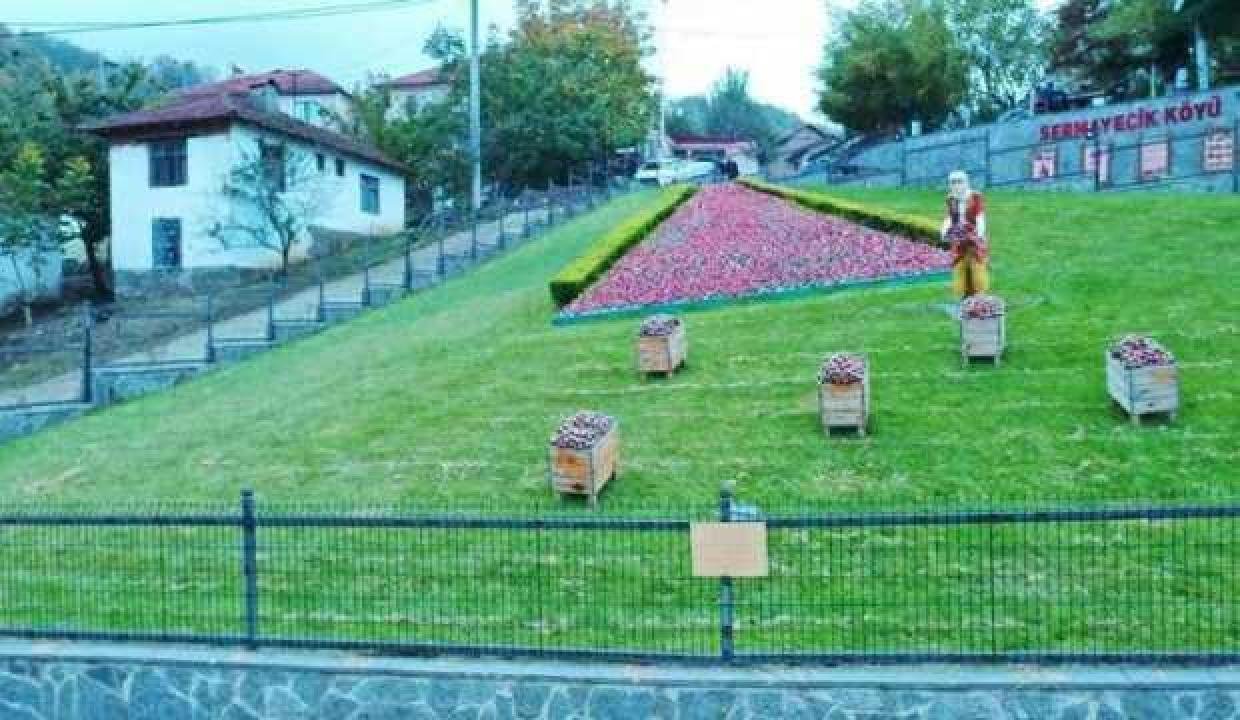 Seçkin yerlerin beğenilen çileği bu yıl 550 ton üretildi