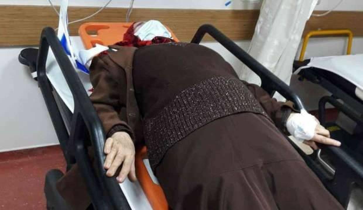 Sokak köpeklerinin saldırısına uğrayan bayan yaralandı