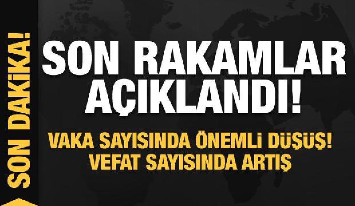 Son dakika: 15 Ocak koronavirüs tablosu açıklandı!