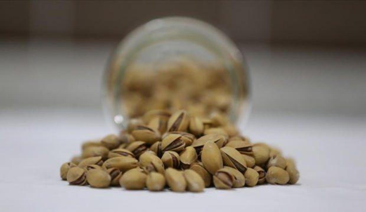 Türkiye’den 110 ülkeye 209,7 milyon dolarlık ihracat!