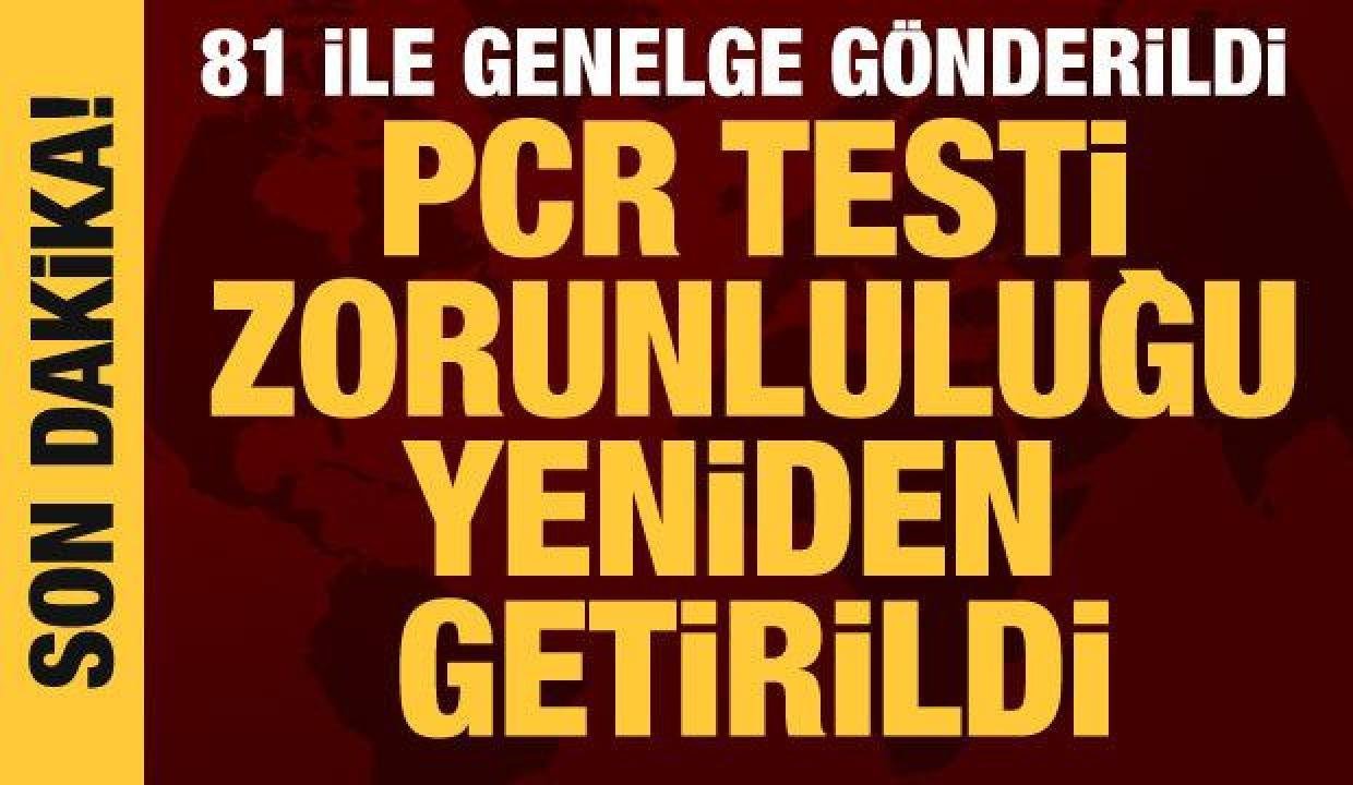 Yurtiçi uçak seyahatinde PCR testi mecburiliği yine getirildi