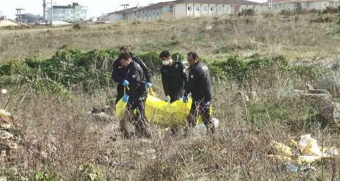 DARICA HAYVAN PAZARINDA ÖLÜ BULUNDU