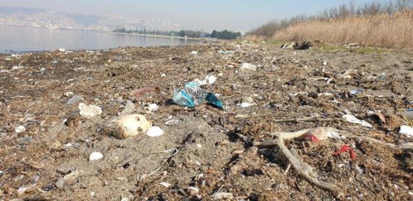 İZMİT KÖRFEZİ’NİN SONU KÖTÜYE GİDİYOR