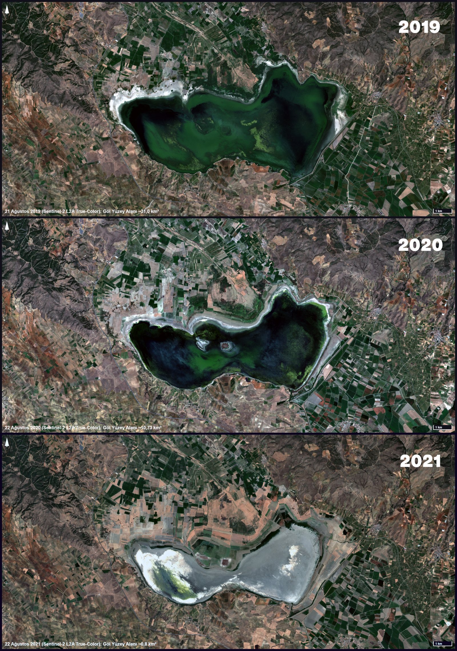 Manisa’nın kuş cenneti Marmara Gölü yok oluyor.
