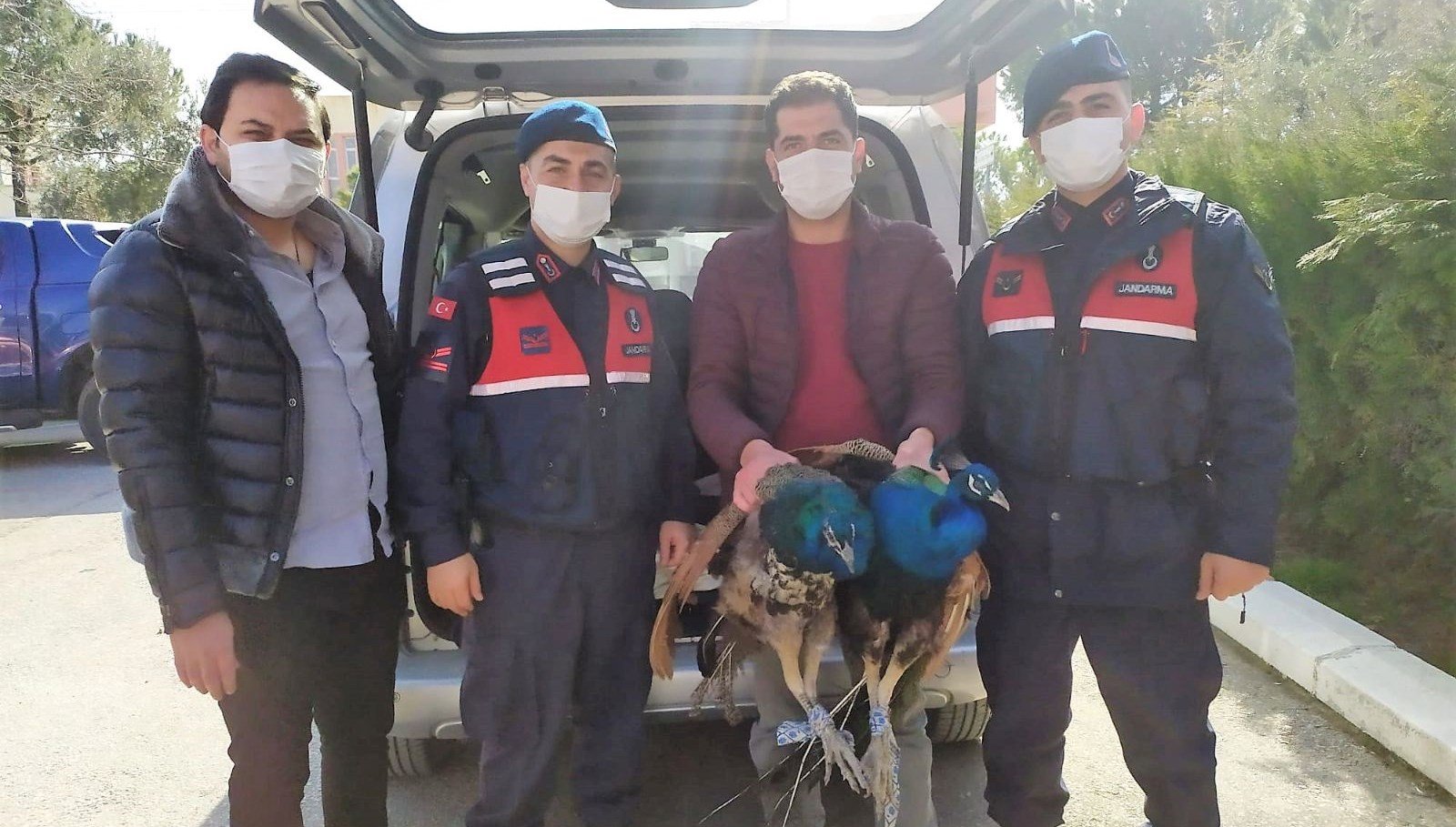 7 kişilik hırsızlık şebekesini kamyonetin önündeki yazı yakalattı