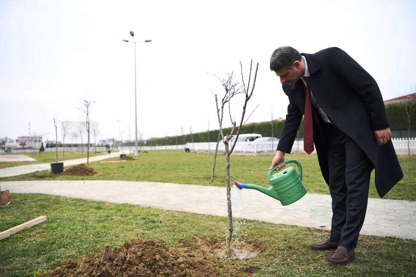 KARTEPEDE KIRAZ VE VISNE YILI 1
