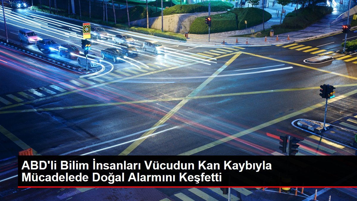 ABD’li Bilim İnsanları Vücudun Kan Kaybıyla Mücadelede Doğal Alarmını Keşfetti
