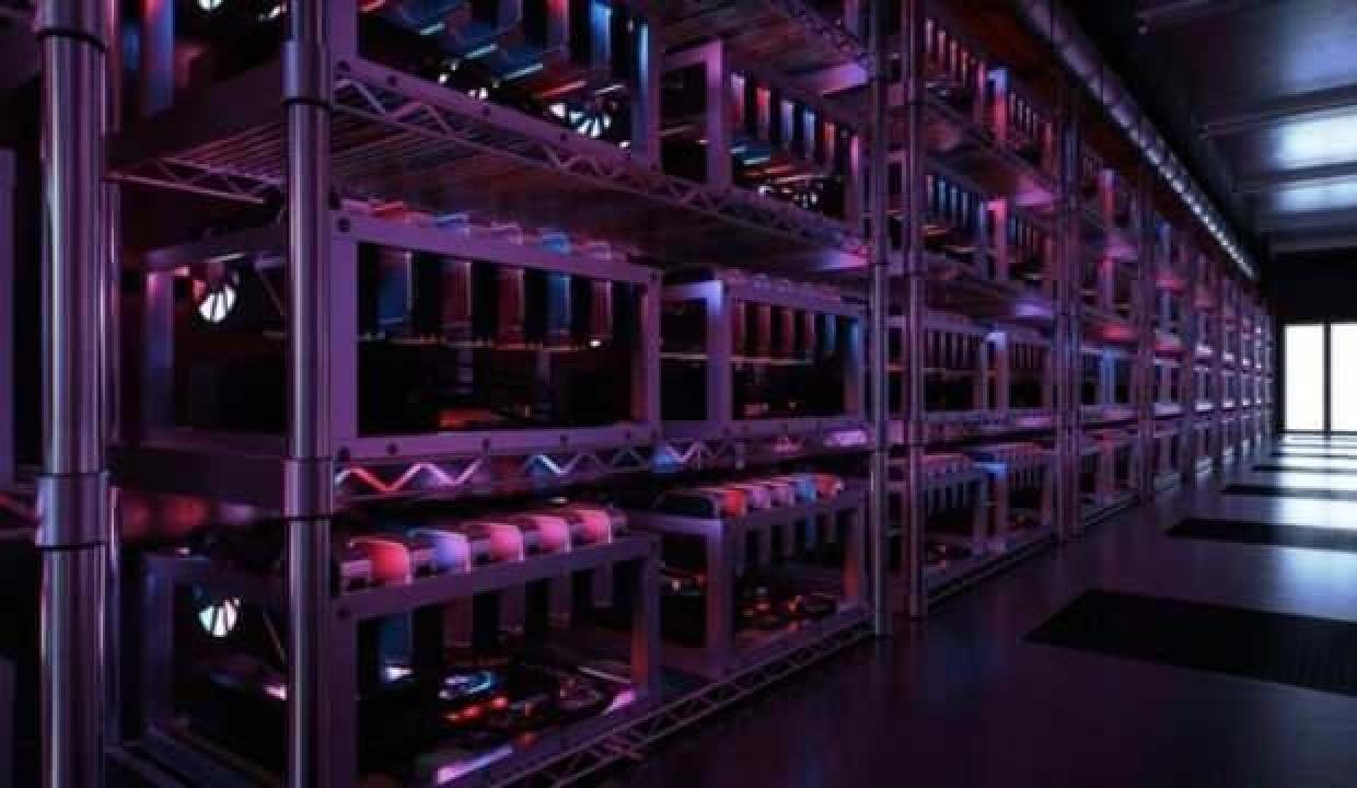 Çin’in yasağı onlara yaradı! Dünyanın en büyüğü kuruldu