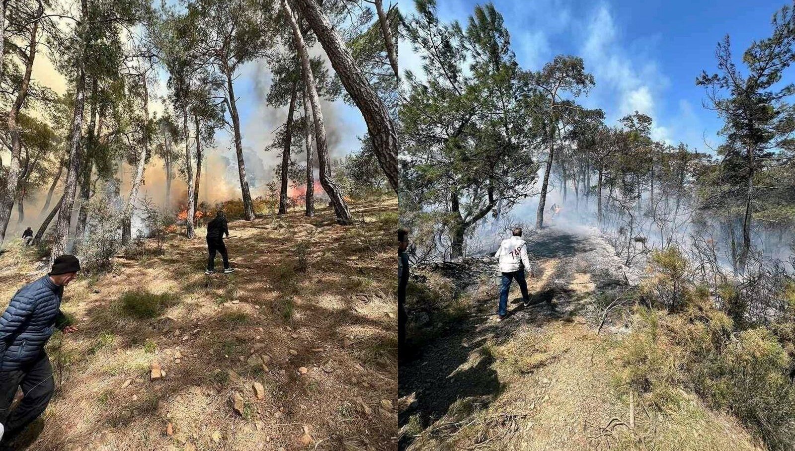Fethiye’deki orman yangını kontrol altına alındı
