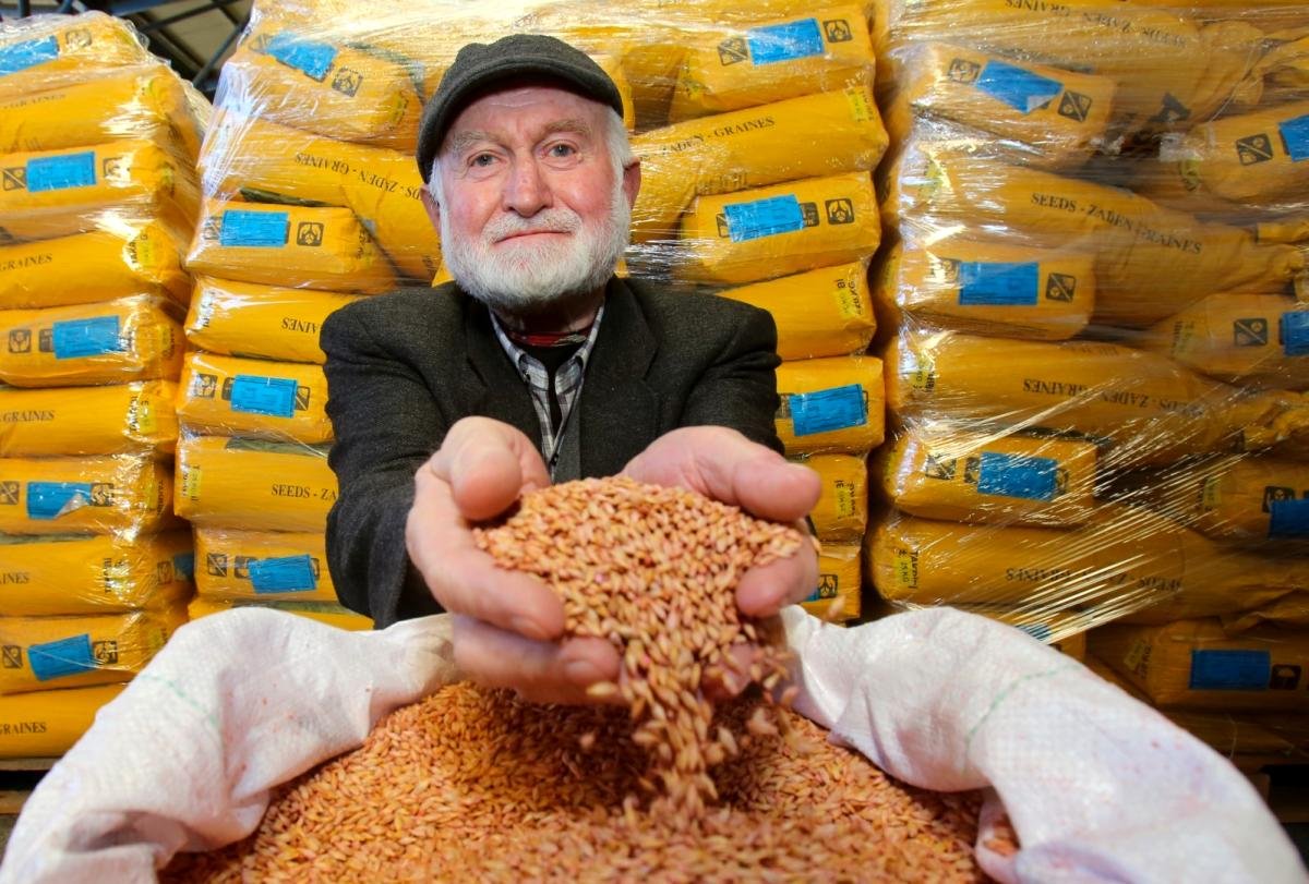 Kocaeli’de 2 bin çiftçiye tohum ve gübre desteği verilecek