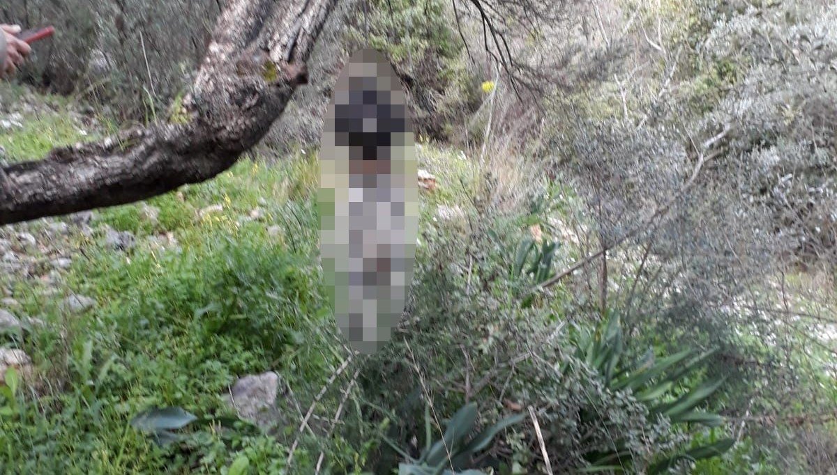 Muğla’da vahşet: Ağaca iple asılı halde bulundu