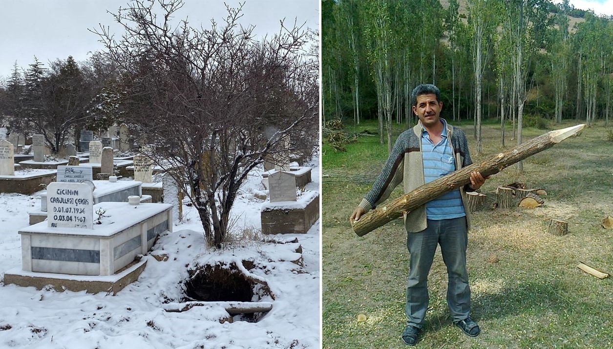 Profesör kaçak kazıda yakalandı: Cahillik yaptık