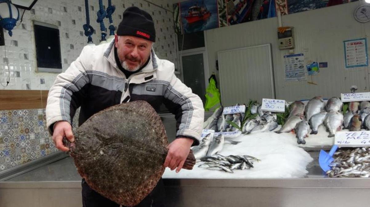 Sinop’ta yakalanan 5 kiloluk kalkan balığı 3 bin liraya satıldı