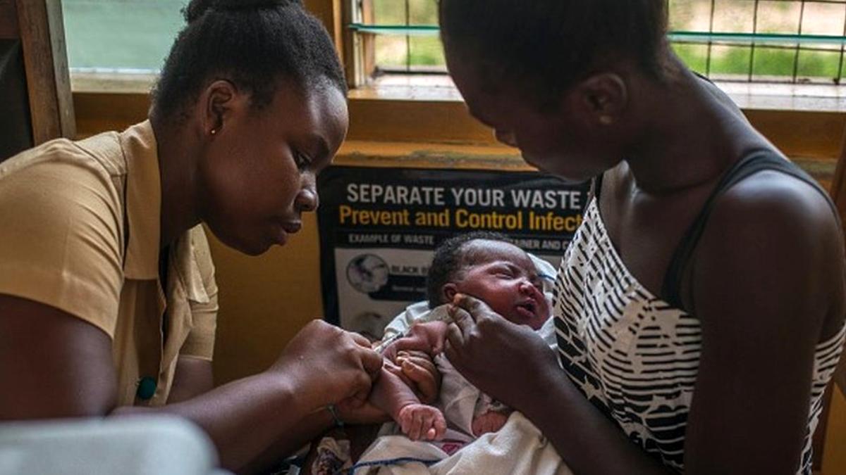 25 Nisan Dünya Sıtma ile Mücadele Günü: İklim krizi hastalıkla mücadeleyi nasıl etkiliyor, aşılama programları yeterli mi?