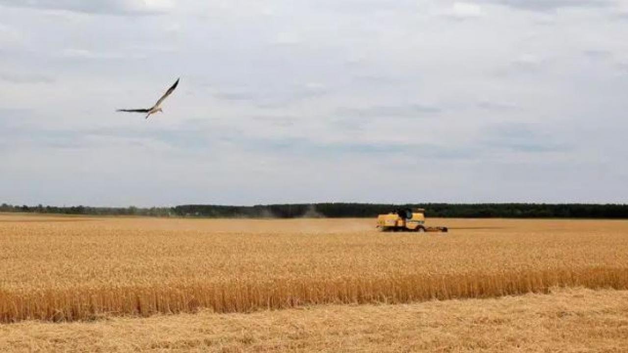 BM’den Ukrayna savaşı için “kriz fırtınası” uyarısı!