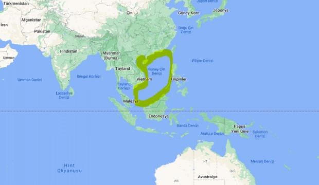 Çin’den Güney Çin Denizi açıklaması