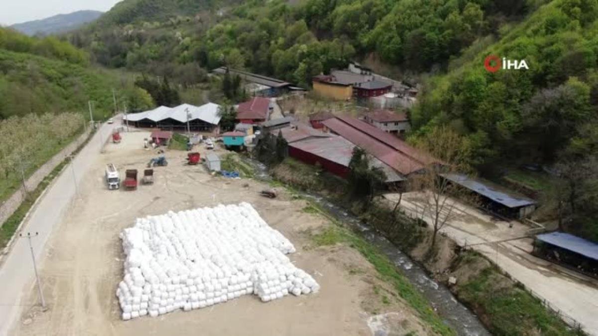 Denizi adeta katleden besi firmasına cezası kesildi