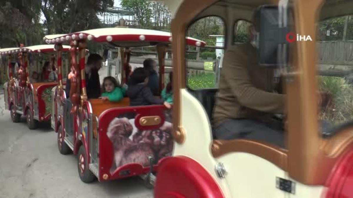 Devasa kaplumbağa Tuki’ye 102. yaş sürprizi