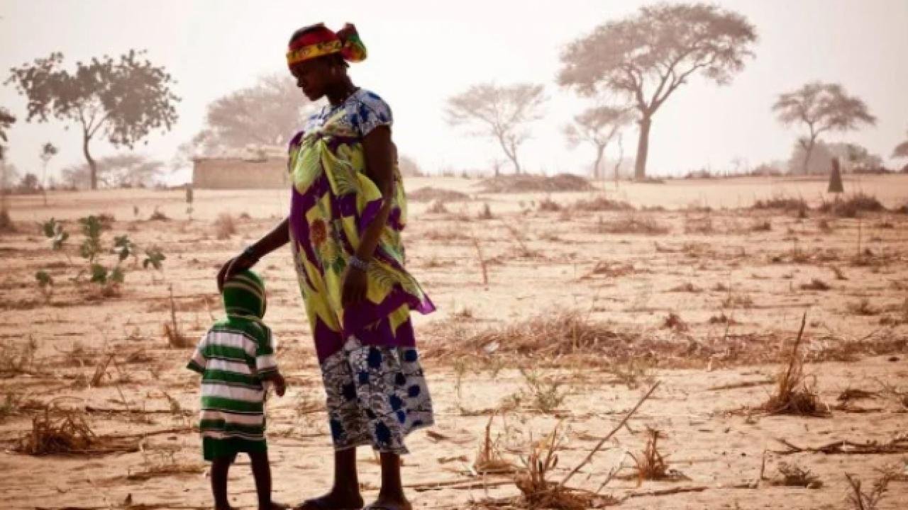 Dünya Bankası’ndan Nijer’e 250 milyon dolarlık destek