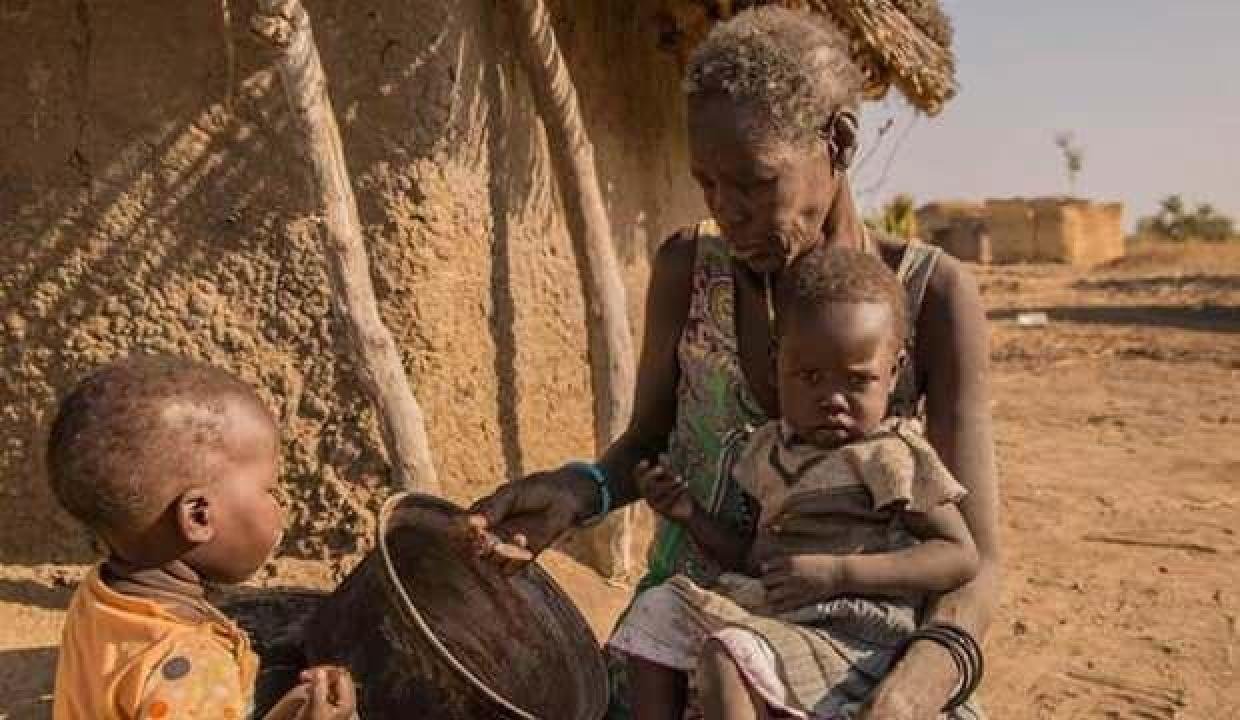 Dünya gıda kriziyle karşı karşıya