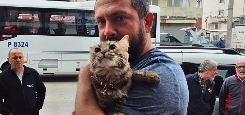 Duvara sıkışan kediyi Büyükşehir İtfaiyesi kurtardı