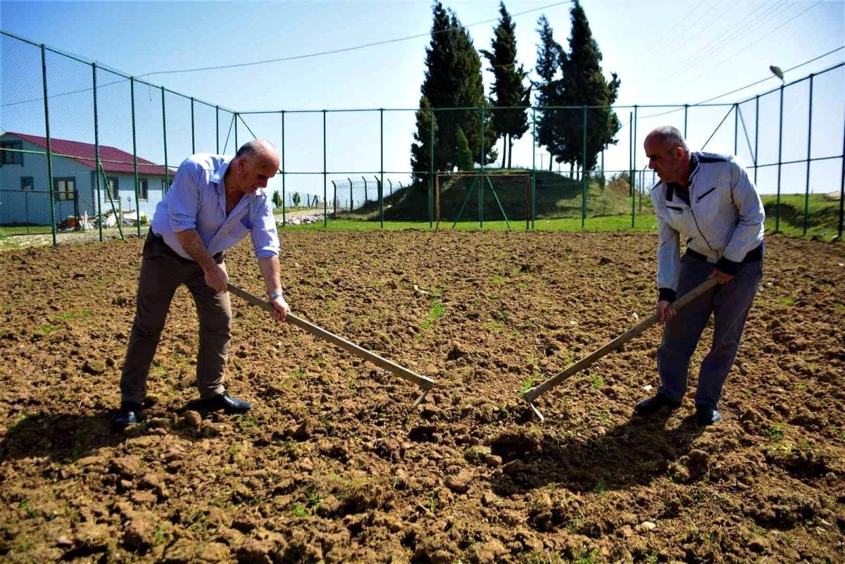 Futbol sahası soğan tarlası oldu