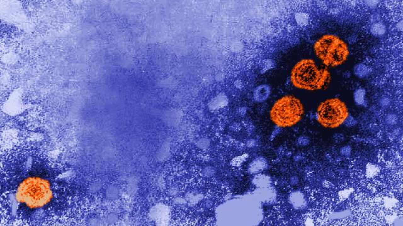 Gizemli hepatit virüsü Kanada’da da görüldü