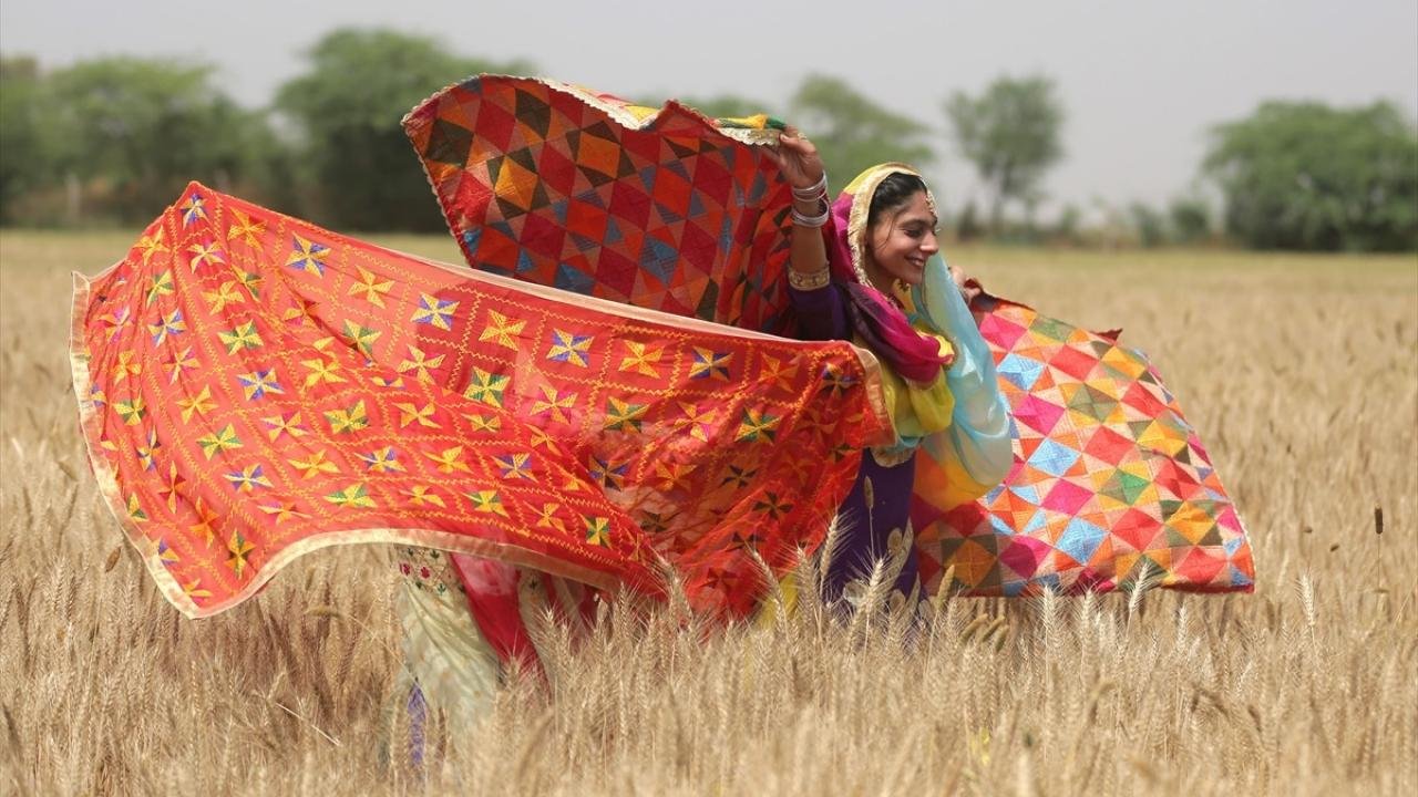 Hindistan, Rusya-Ukrayna savaşını fırsata dönüştürdü! Buğday ihracatında atağa geçti