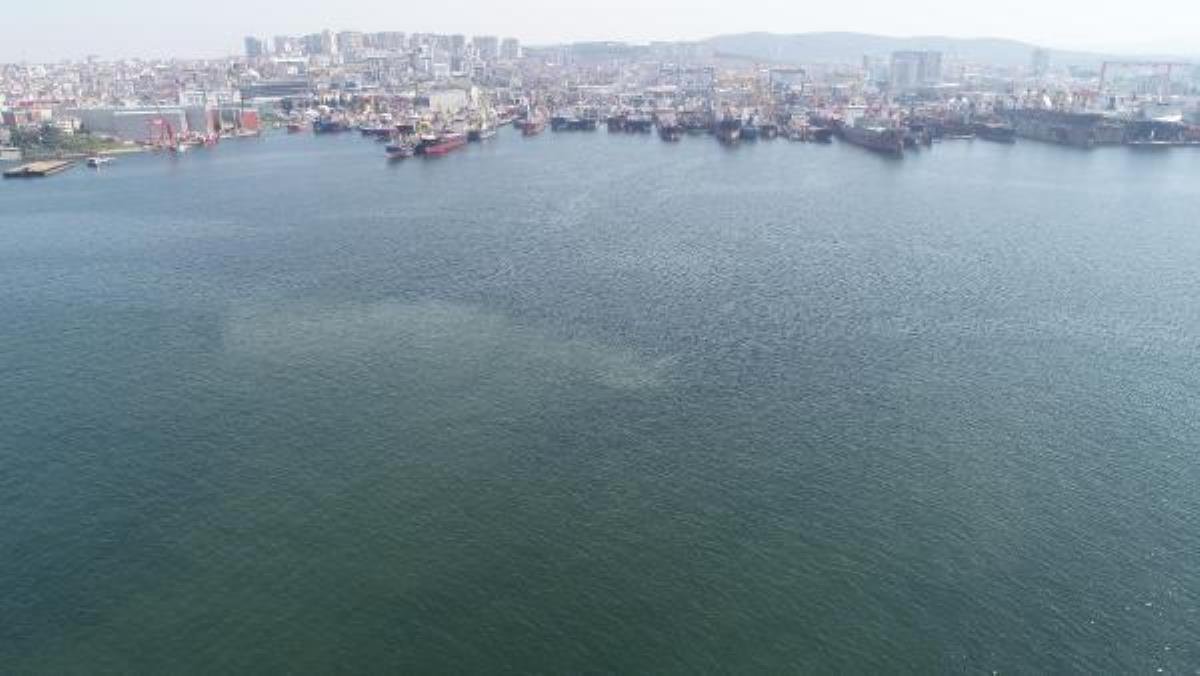 İstanbul sahillerinde müsilaj geri mi dönüyor (1)