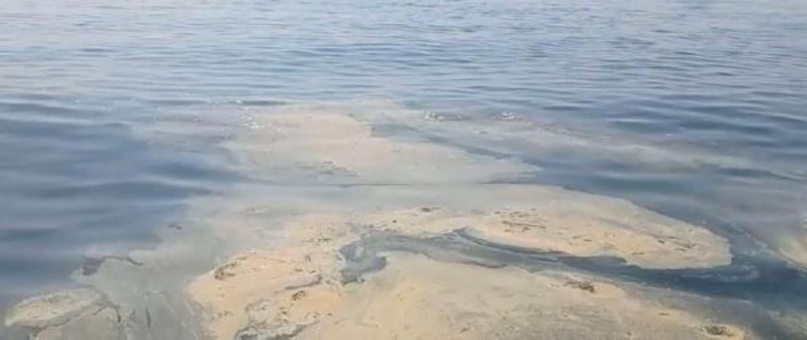 İzmit Körfezi’ndeki müsilajı görüntüledi