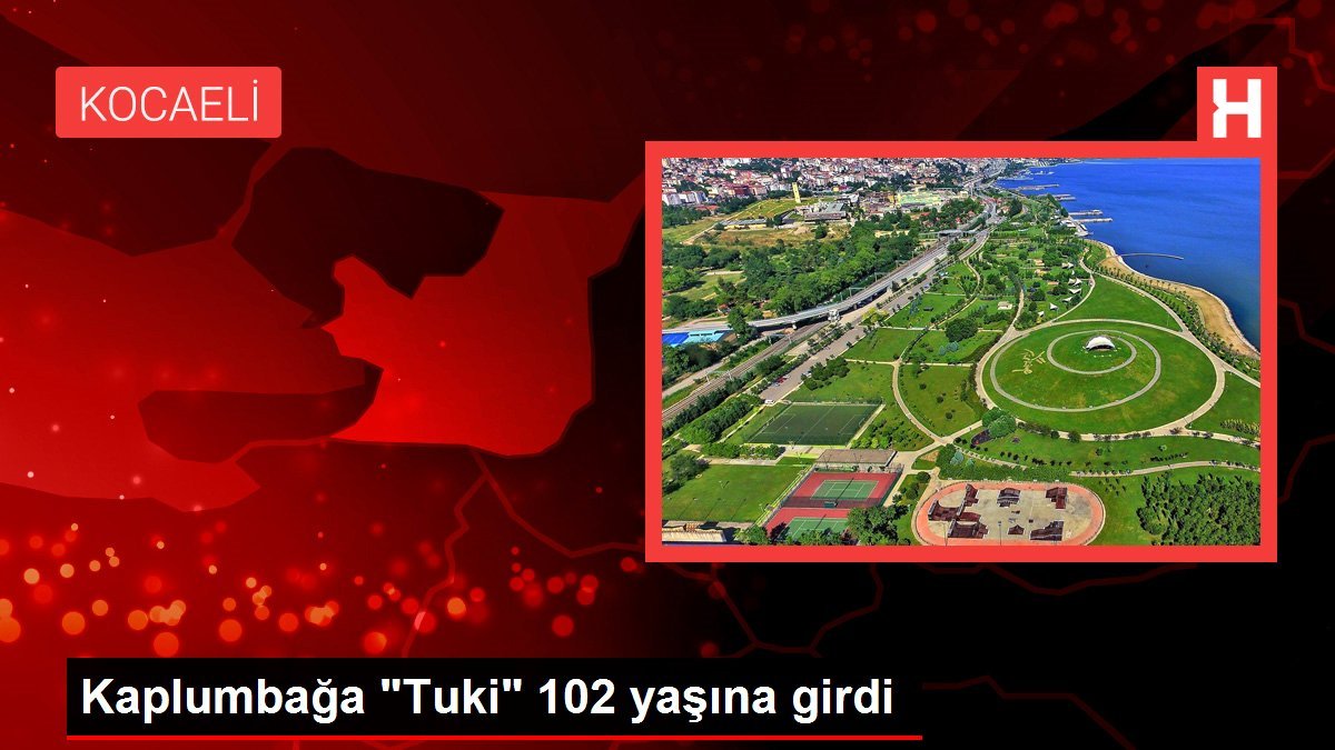 Kaplumbağa “Tuki” 102 yaşına girdi