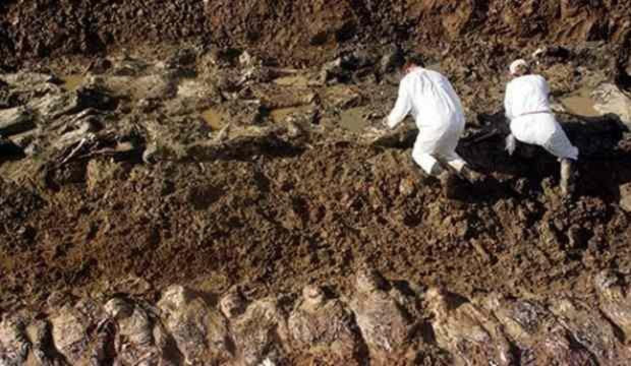 Taha Dağlı yazdı: Sadece Ukrayna’dakiler değil bütün toplu mezarlar açılsın