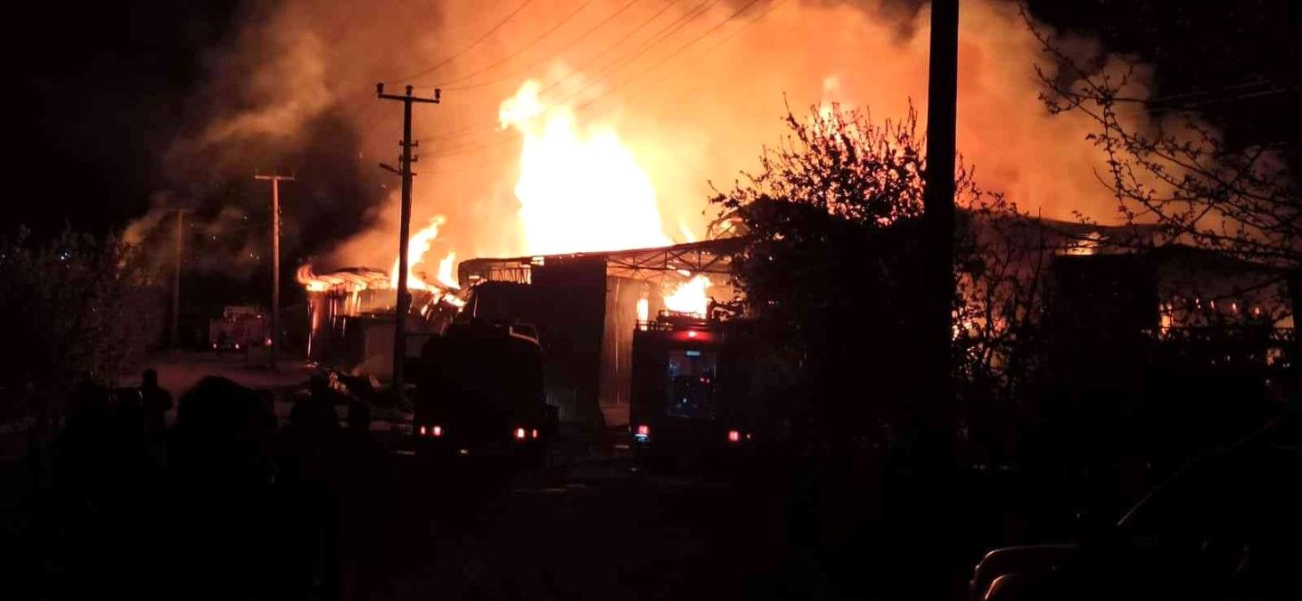 Yalova’da kereste fabrikasında korkutan yangın