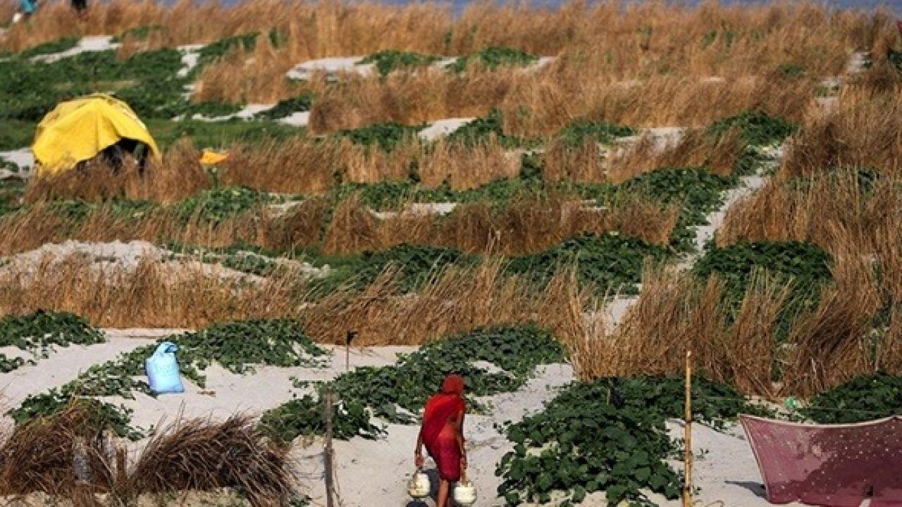 Hindistan kavruluyor: 45 dereceyi geçti