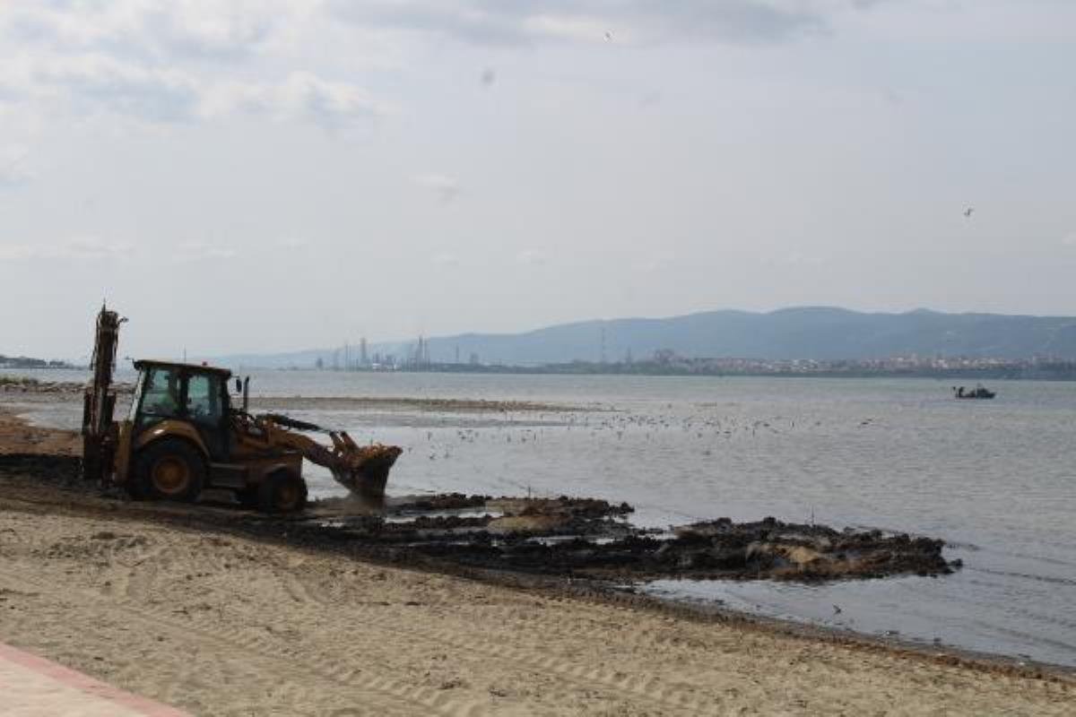 İzmit Körfezi’nde yine gübre kirliliği
