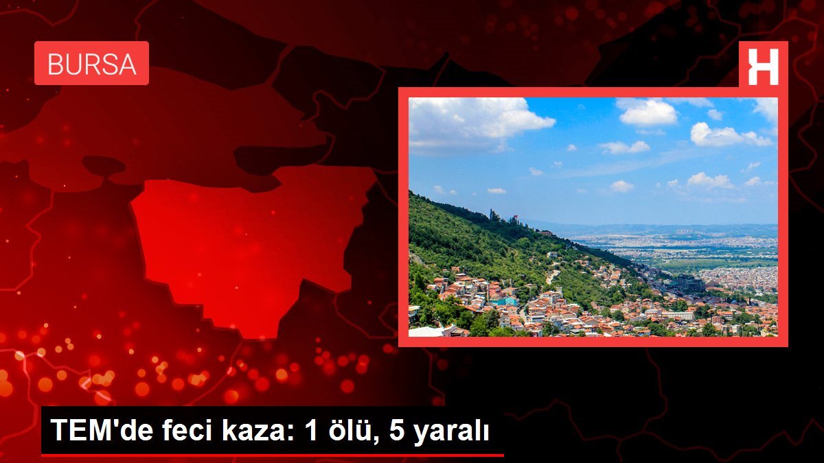 TEM’de feci kaza: 1 ölü, 5 yaralı