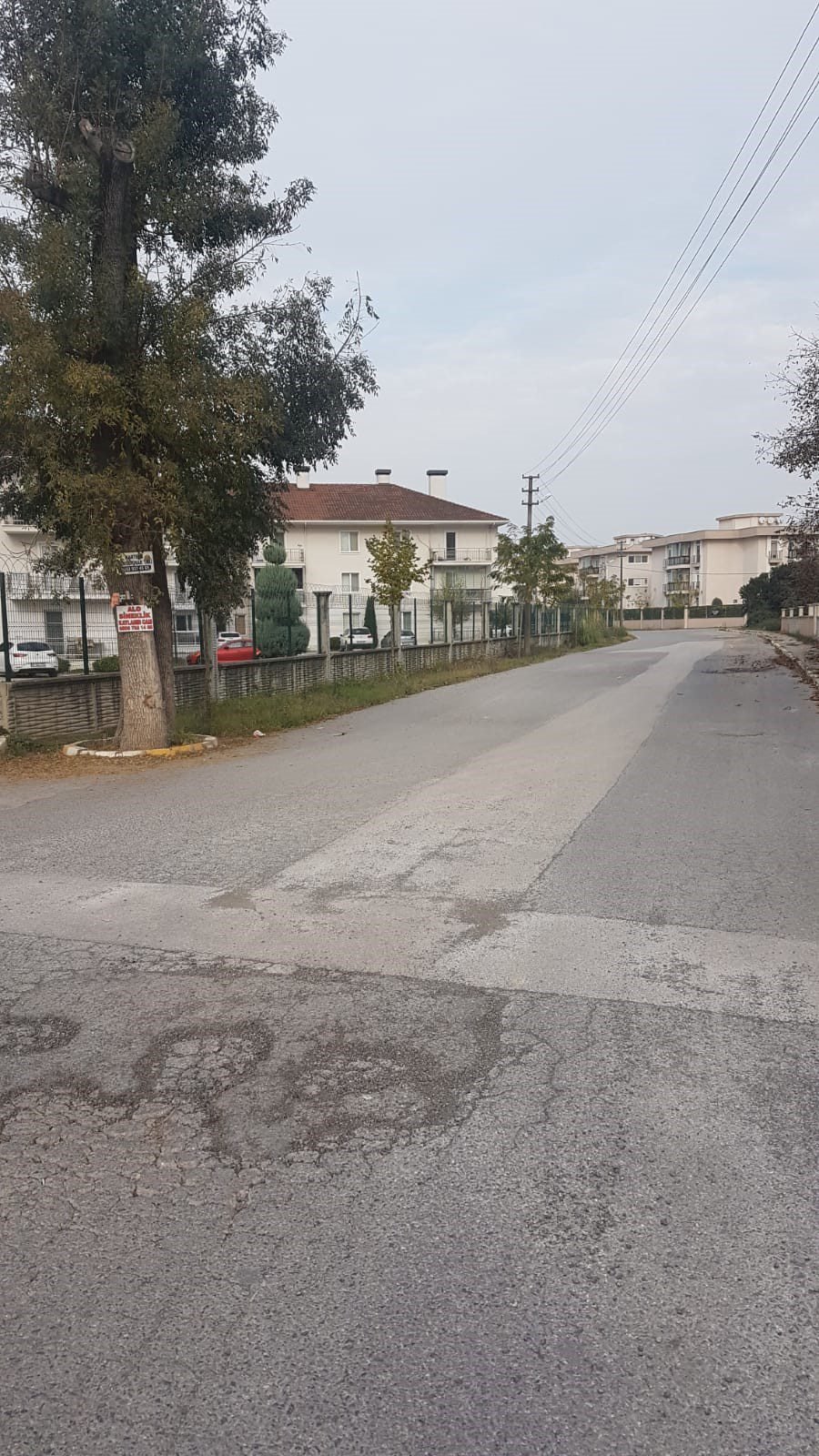 Kartepe’de kaldırım yapacağız diye ağaçları yok ettiler