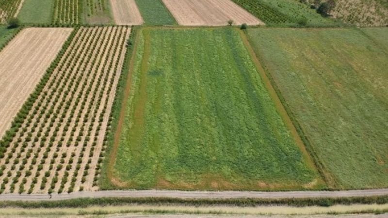 Kartepe’de icradan satılık tarla