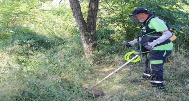 Körfez’de Ot Biçme Çalışmaları Son Sürat Devam Ediyor