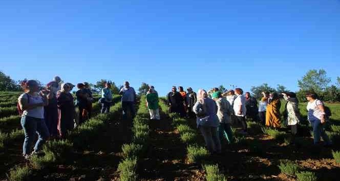 Kocaeli Halk Eğitim Merkezi Öğretmenleri, Kocaeli’de Hayata Geçirilen TABİP Projesi Çerçevesindeki Tarlaları Gezdi