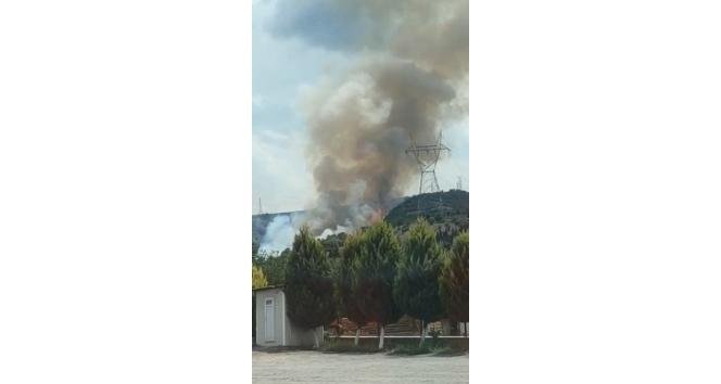 Gebze’de Ormanlık Alanda Yangın Çıktı