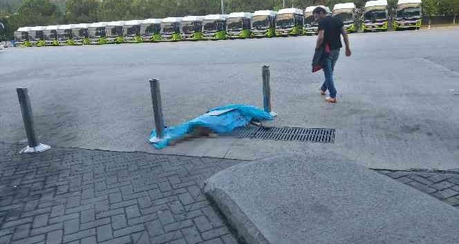 Bagaja Koyulan Köpek Havasızlıktan Öldü